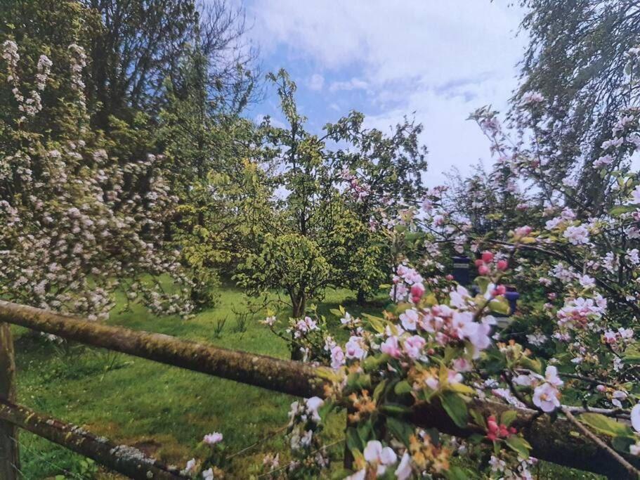 Nature Charm & Fruit Delights, Multi-Generation Celebratory Home -Try, Relax, Repeat - Sellindge Ashford  Eksteriør bilde
