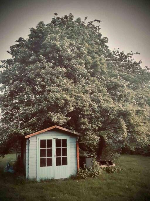 Nature Charm & Fruit Delights, Multi-Generation Celebratory Home -Try, Relax, Repeat - Sellindge Ashford  Eksteriør bilde