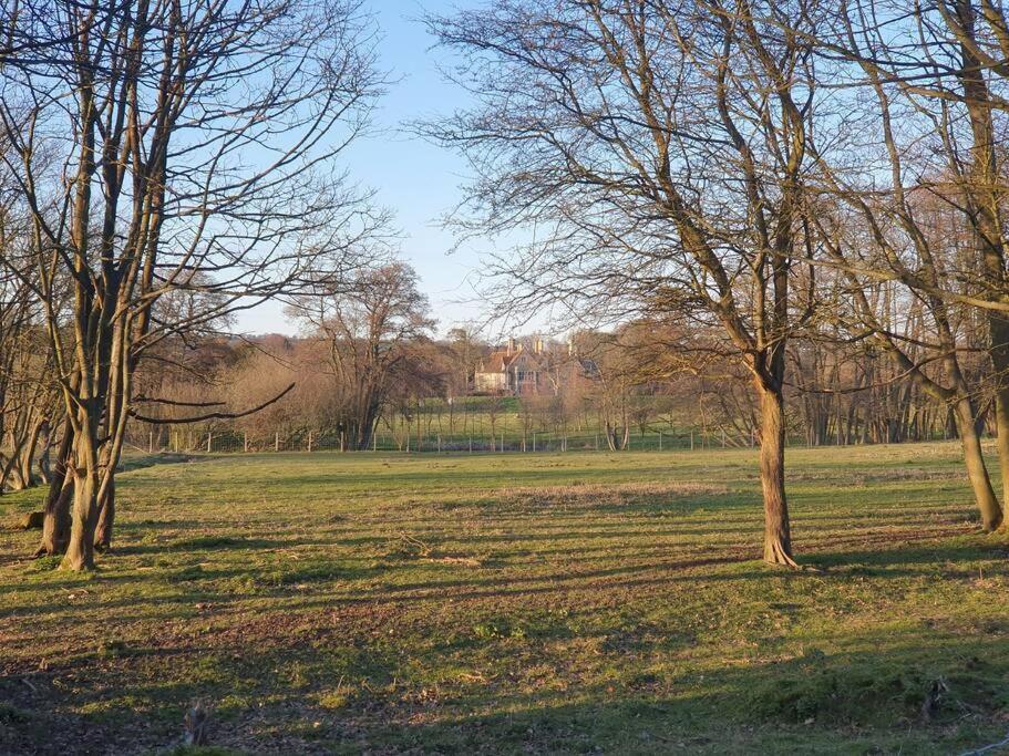Nature Charm & Fruit Delights, Multi-Generation Celebratory Home -Try, Relax, Repeat - Sellindge Ashford  Eksteriør bilde