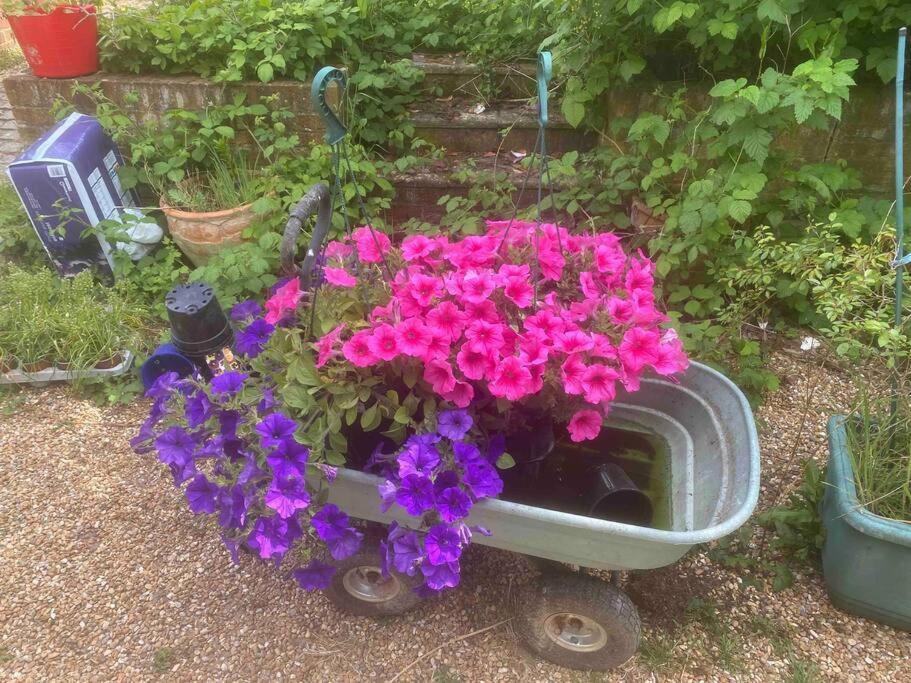 Nature Charm & Fruit Delights, Multi-Generation Celebratory Home -Try, Relax, Repeat - Sellindge Ashford  Eksteriør bilde
