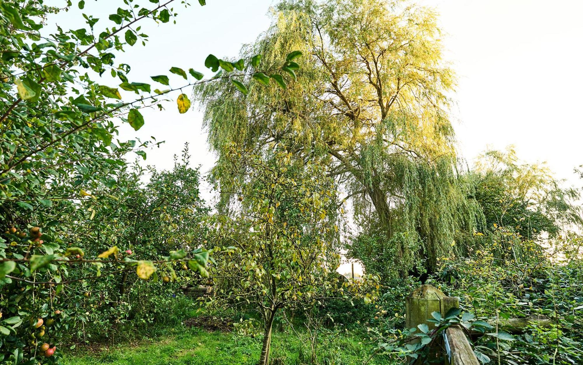 Nature Charm & Fruit Delights, Multi-Generation Celebratory Home -Try, Relax, Repeat - Sellindge Ashford  Eksteriør bilde